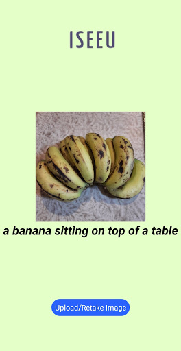 ISEEU - Image Recognizer