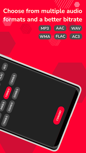 Audio Extractor Screen 3