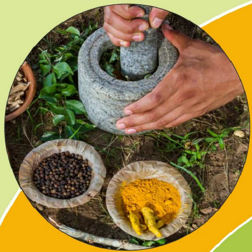 Healing Remedies in Local Indi logo