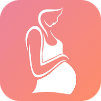 Pregnancy Workout Program