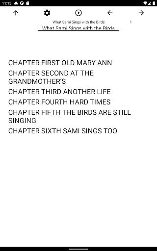 Book, What Sami Sings with the Screen 3
