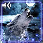 Cover Image of Download Wolf Night Howl Live Wallpaper 1.0 APK