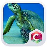 Sea Turtles CLauncher Theme icon