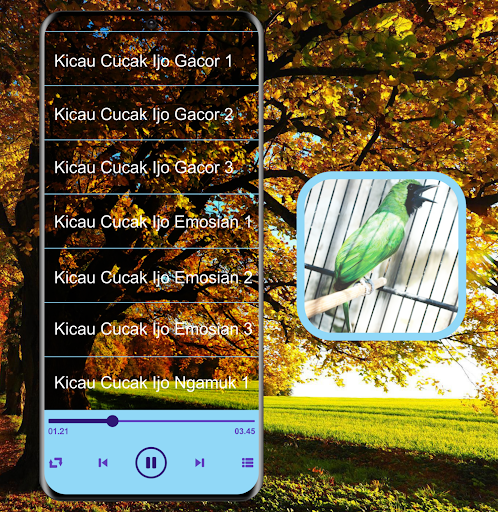 Masteran Kicau Cucak Ijo Mp3 Screen 3