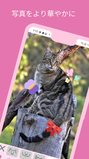 Cat Decoration Screen 3