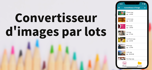 Aperçu de l'application