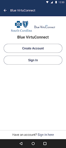 Blue VirtuConnect Screen 2