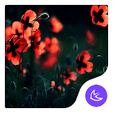 Red Flower-APUS Launcher theme icon