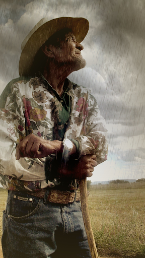Screenshot of Rainy Daze