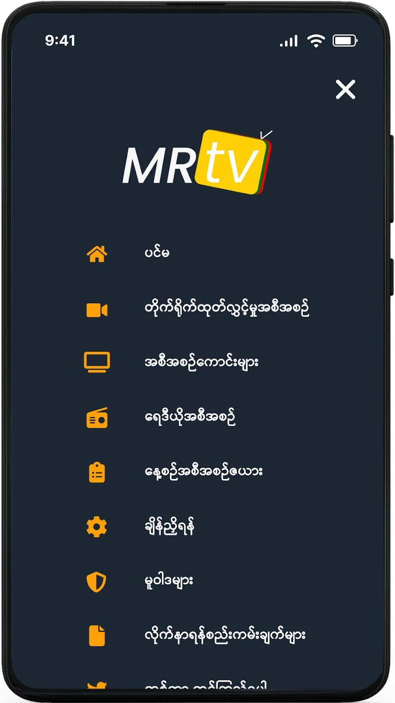 Mr TV 