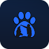 Dogger – Dog Training & Tricks