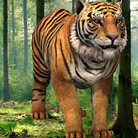 Tiger 3D Video Live Wallpaper