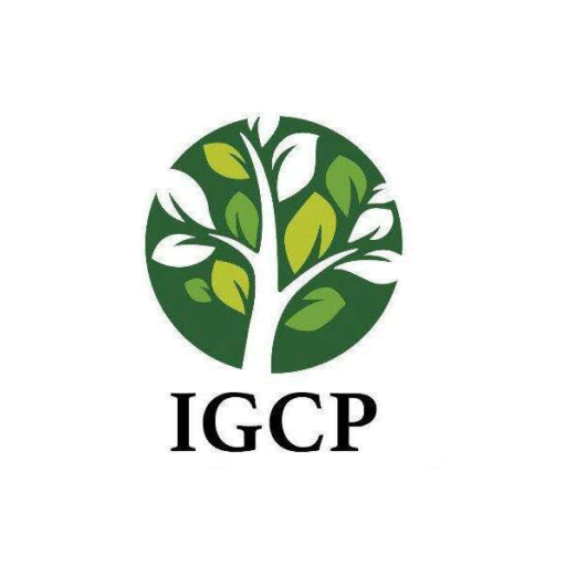 IGCP Contábil logo