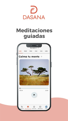Dasana Screen 3