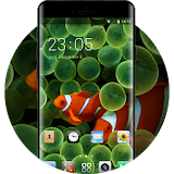 Theme for Original iPhone Clownfish Wallpaper HD icon