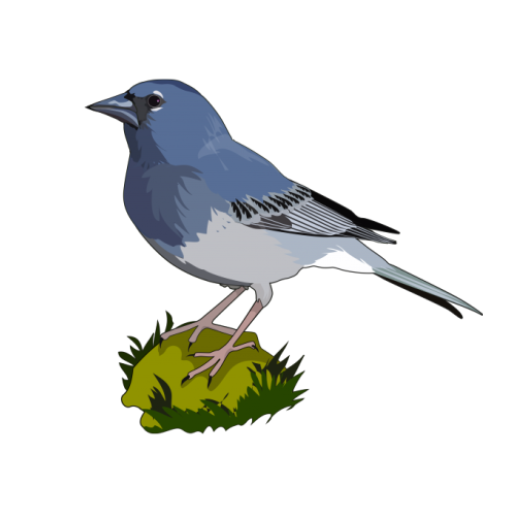 Aves de Canarias logo