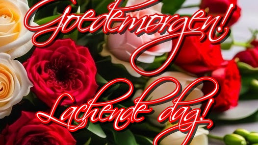 Goedemorgen APK 1.0.3 latest version 2024 Gallery 8