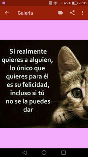 Frases de Desamor y Amor