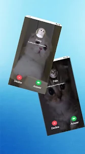 Cat Call You Fake Video Call