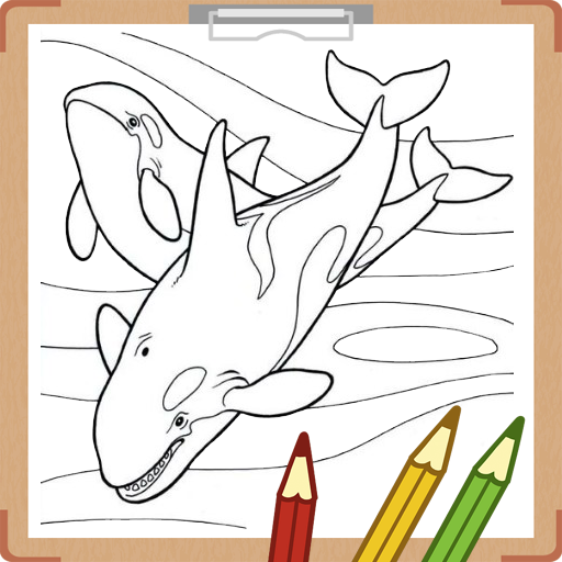 Whale and Shark Coloring Book logo