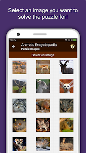 Animal Encyclopedia Complete Reference Guide Free 1.1.4 screenshots 7