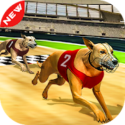 Dog real Racing  Derby Tournament simulator
