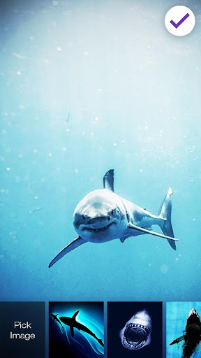 Predator Shark Lock Screen