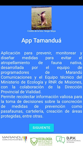 Tamanduá Ecoregistro Misiones