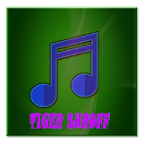 Tiger Shroff All Songs icon