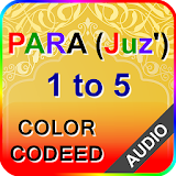 Color coded Para 1 to 5 with Audio icon