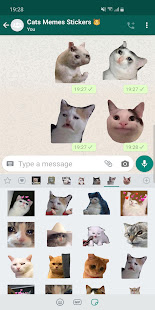 Cat Memes Stickers WASticker