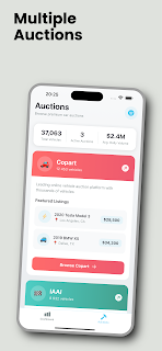Autobuy Bidder screenshot 4