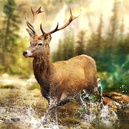 Imagen de ícono de Hunting Clash: Juego de caza