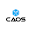 CAOS 2024 Download on Windows