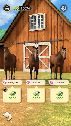 Racing Horse Stable - Screenshot 3