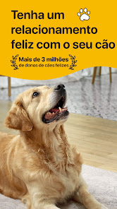 Imagem de captura de ecrã