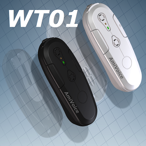 WT01設定 logo