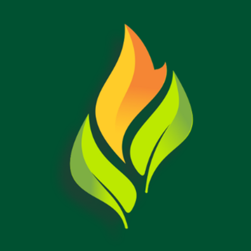 IPJO Live logo