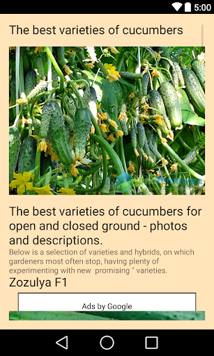 cucumber (cucumber) Screen 2