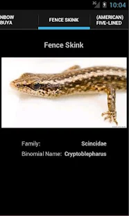 Skinks(圖1)-速報App