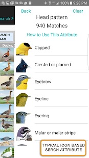 iBird Pro Birds North America Capture d'écran
