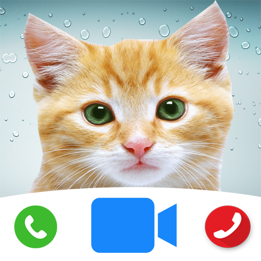 Cute Cat Prank Call - Fake Cal - Apps On Google Play