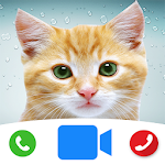 Cover Image of Download Cute Cat Prank Call - Fake Cal  APK
