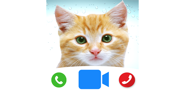 Angry Cat Prank Meme Button – Apps on Google Play