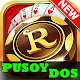 Pusoy Dos 2021 - Big 2 Master Download on Windows