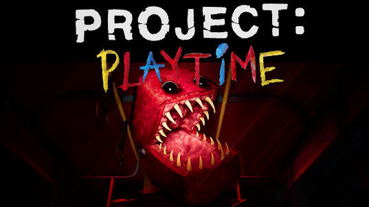PROJECT Playtimes