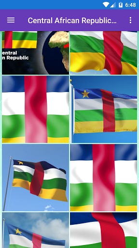 Central African Republic Flags