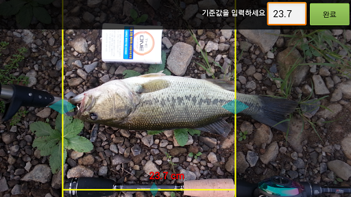 Fishing Ruler - 물고기 길이 재기 Screen 3