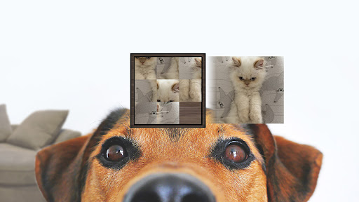 Android application Famous Sliding Puzzle: Pets screenshort
