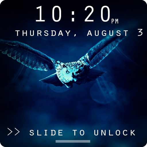 Owl Art Pattern Lock Screen